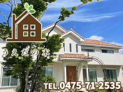 株式会社うえだの木